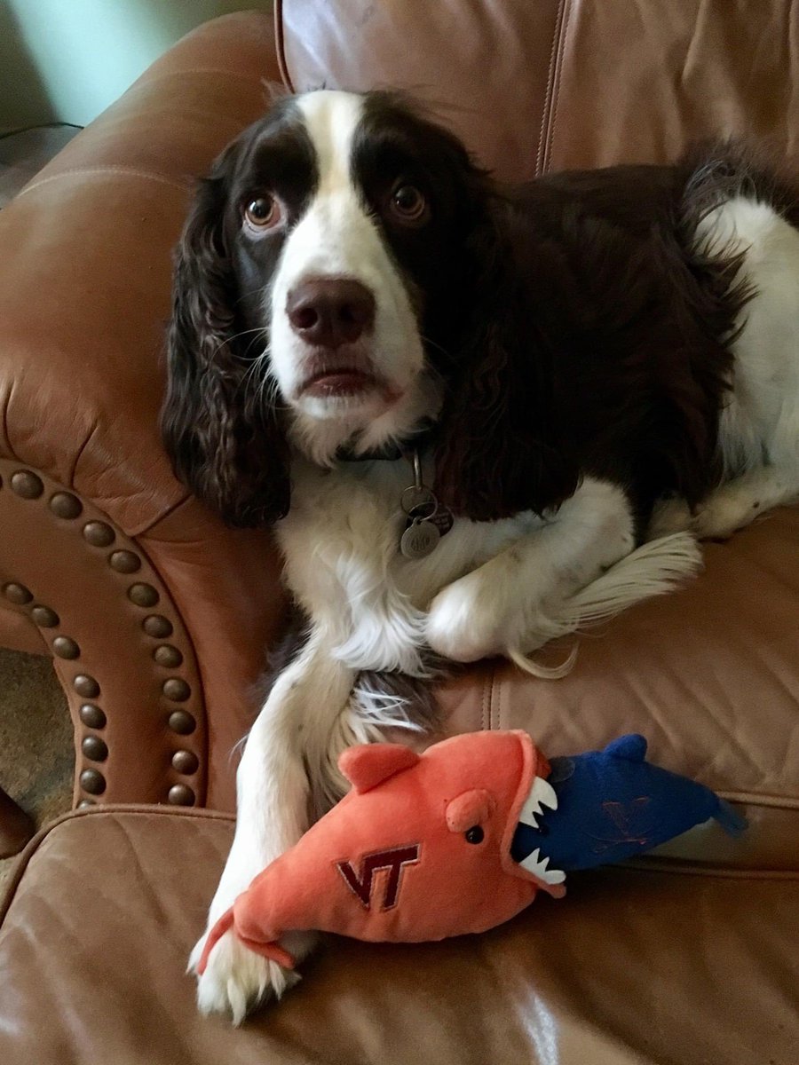 ⁦<a href="/vt_home/">This Is Home VT</a>⁩