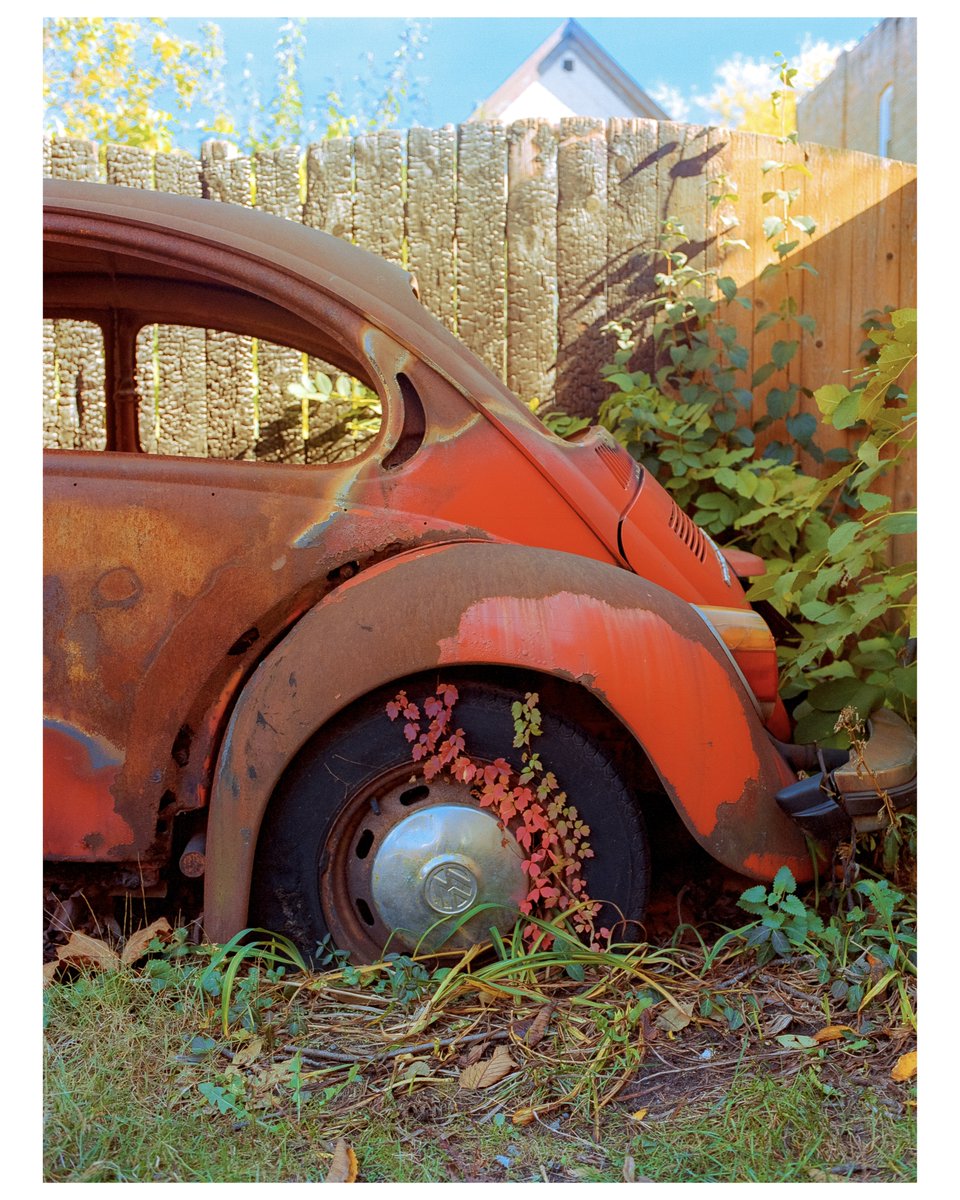 Autumn always creeps up on you 🍂

📷 Mamiya M645 1000S
🎞 Kodak Portra 400

#filmphotography #portra400 #mediumformat