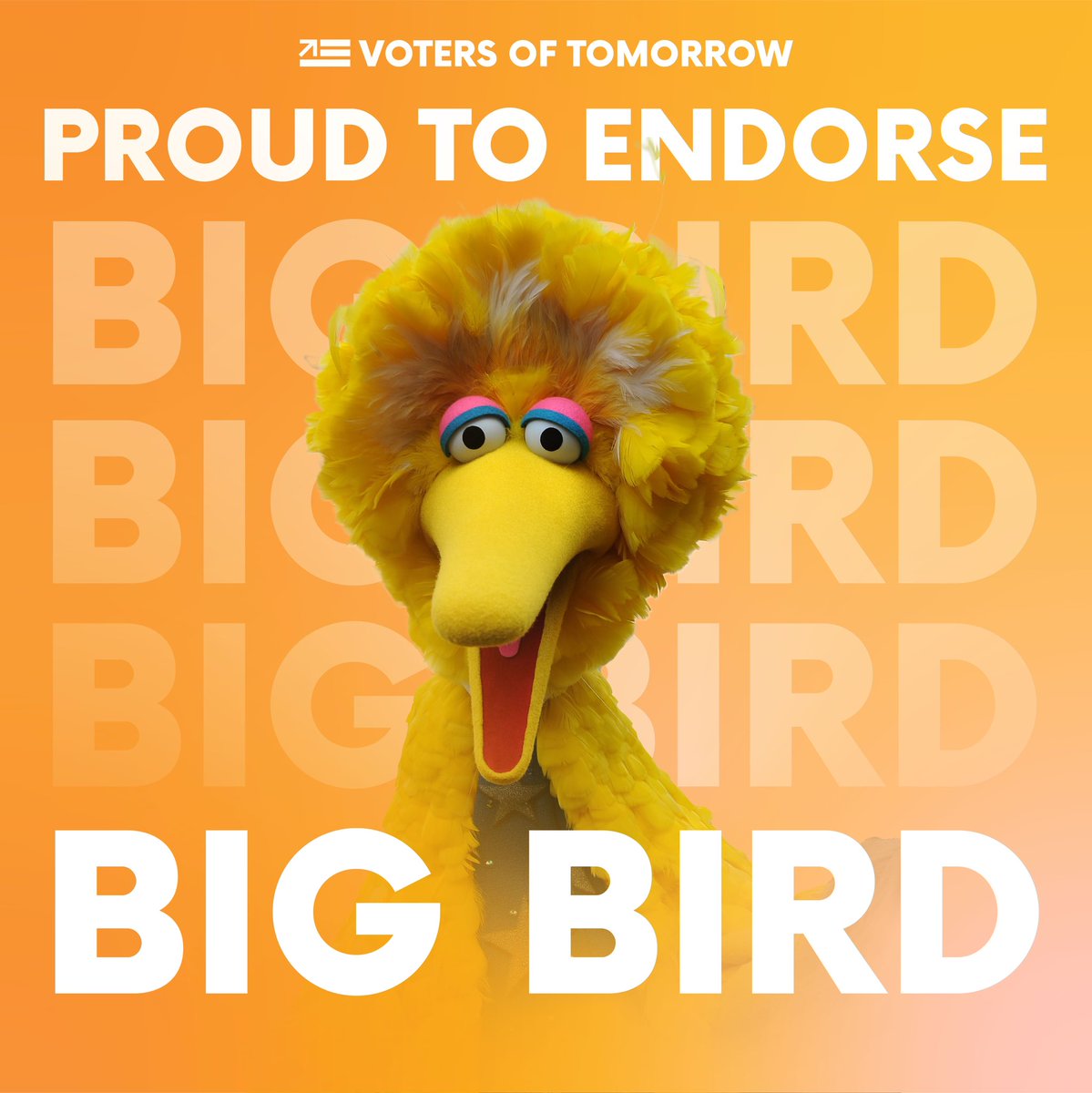 VotersTomorrow's tweet photo. Looking forward to 2024, it is clear that Texas deserves a Senator who won’t seasonally migrate when it gets cold. 

That’s why we’re proud to endorse @SenatorBigBird for Senate. https://t.co/DvkjtZIG7X