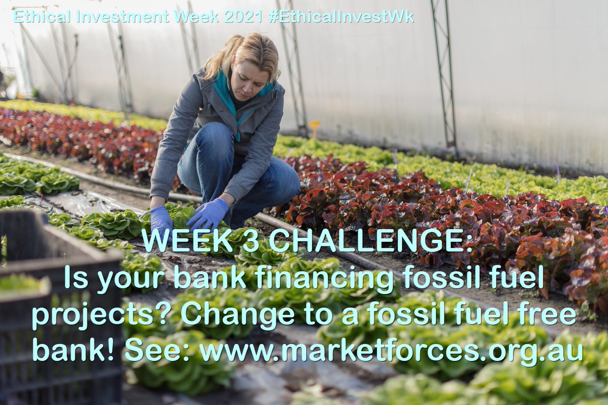 Is your bank financing climate damaging fossil fuels? Consider changing your bank to a fossil fuel free bank! See: marketforces.org.au