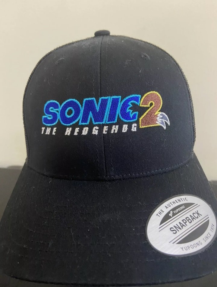 Look guys I just found the Sonic the Hedgehog movie 2 hat with the logo on it did they already make merch for the new movie #SonicMovie2 https://t.co/Fx5AYvcHhR