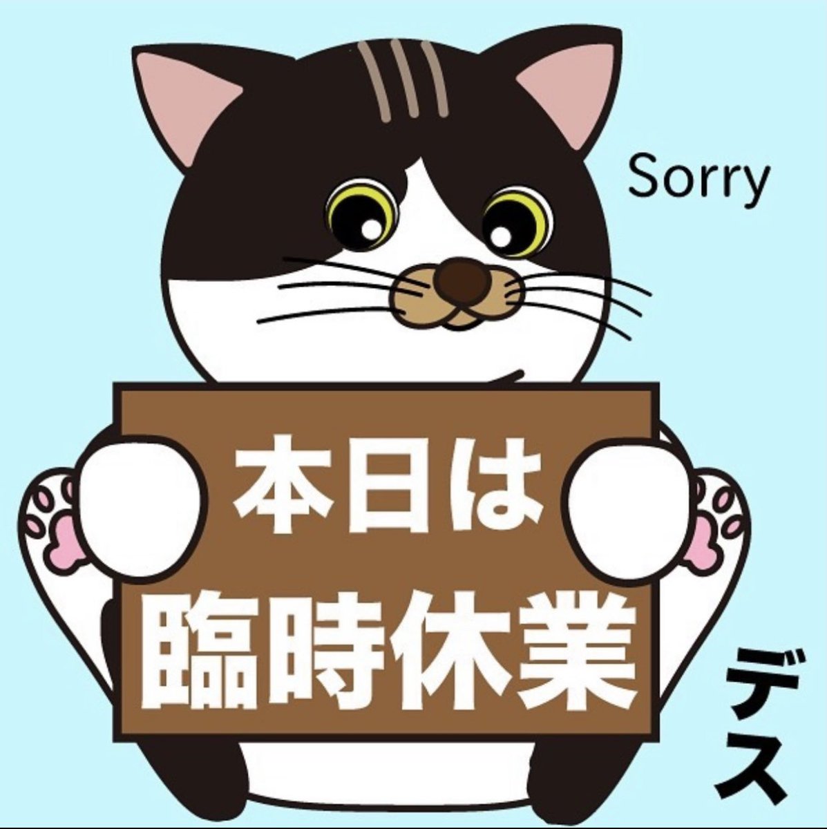 保護猫カフェ 猫婆 本日は都合により 臨時休業させていただきます よろしくお願いいたしますm M 保護 猫 保護猫カフェ 里親募集中 里親募集 三重 猫 家族 保護猫カフェ猫婆 猫婆 三重県 鈴鹿市 スタッフ紹介 Cats Cat Pet