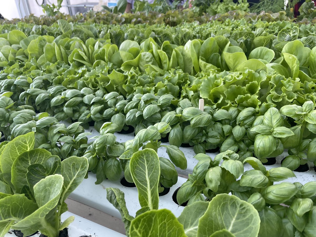 ebethhilly's tweet photo. There is work to be done if we are going to call ourselves sustainable, but it was inspiring to see the #farmers in #Baltimore that realize the opportunities and are striving to make a difference.
#leadership #agriculture #naturalresources #forestry #buylocal #bethechange https://t.co/TgtchoykFm