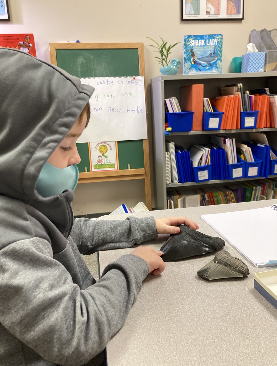 Nicole Kessler tweet media