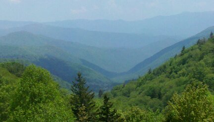 Doe Range tweet media