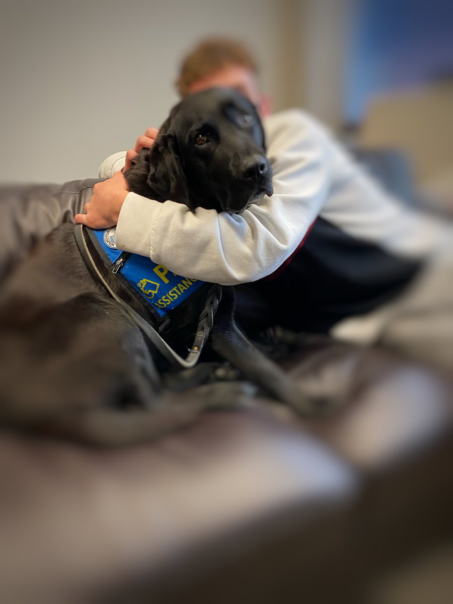 PADSk9Merlot's tweet photo. “Bravery is not the absence of fear. Bravery is feeling the fear,the doubt,the insecurity,& deciding that something else is more important. “ ~Marl Manson💙🐾 #pawsofstrength #facilitydog #courthousedog #court #workingdog #dogsoftwitter #yqr https://t.co/fbebht2KkP