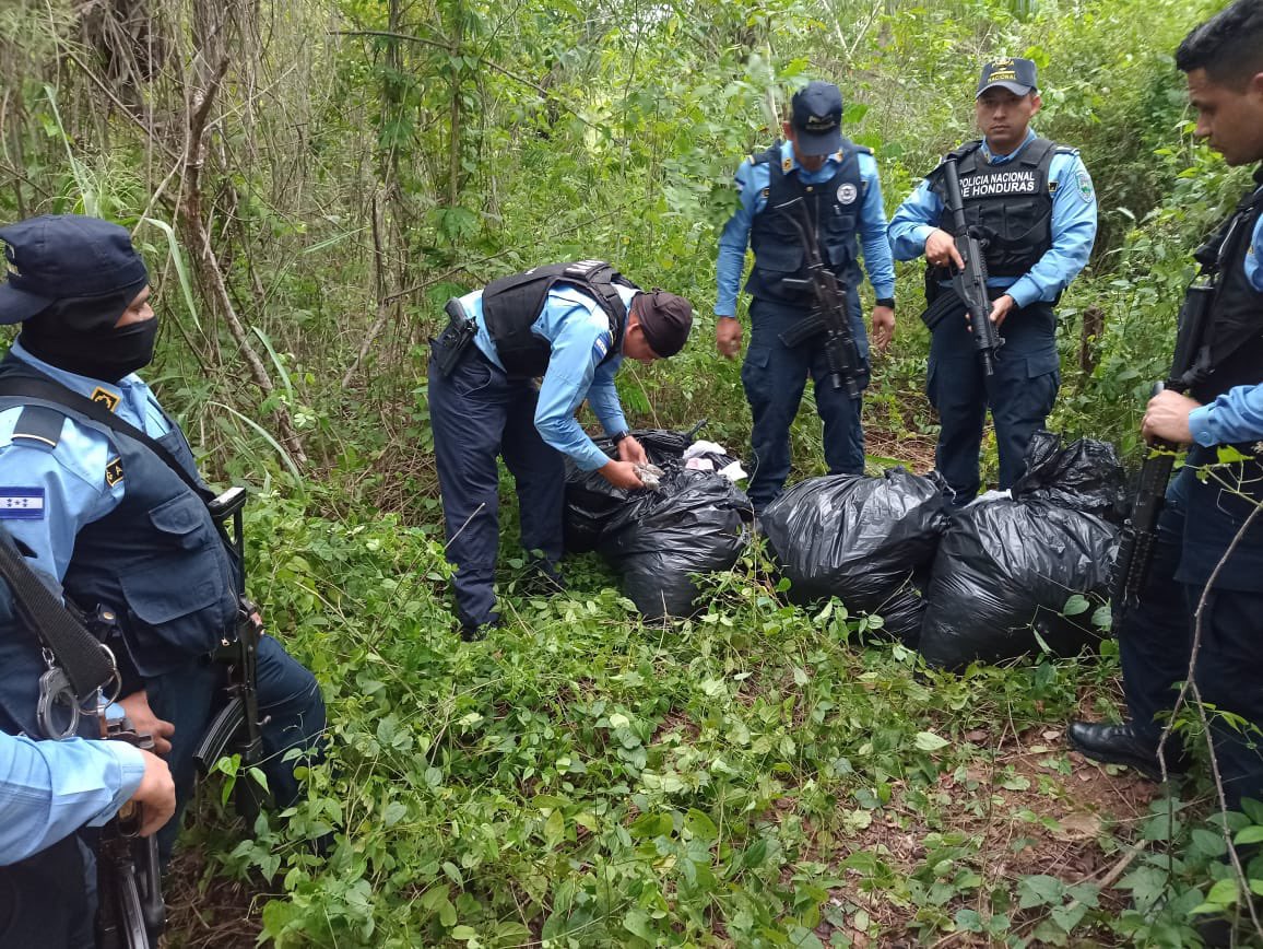 dpi_honduras's tweet photo. #ResultadoDeImpacto
Producto de diligencias de búsqueda e investigación, decomisamos más de dos mil envoltorios conteniendo en su interior supuesta marihuana listos para su distribución en #SanPedroSula #Cortés #TrabajandoPorUnaMejorInvestigaciòn https://t.co/opQ4uO178P