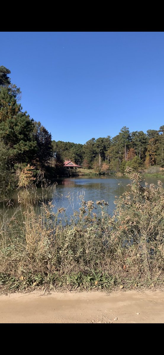 Bill Sisson tweet media