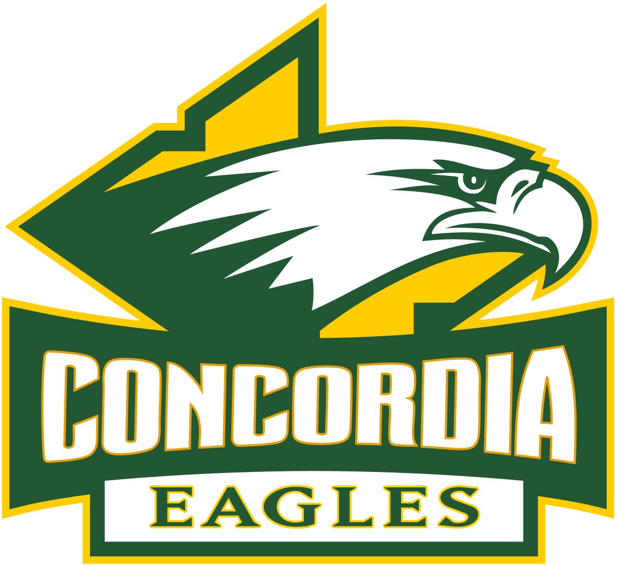 OwenGott62's tweet photo. I’m proud to say that I’ve committed to Concordia University Irvine! I want to thank my family, coaches, teammates, and friends who helped with in the journey. I am extremely excited for this next chapter and can’t wait to play some college baseball! Go Eagles!🟢🟡🦅 https://t.co/ratu2dqMZz