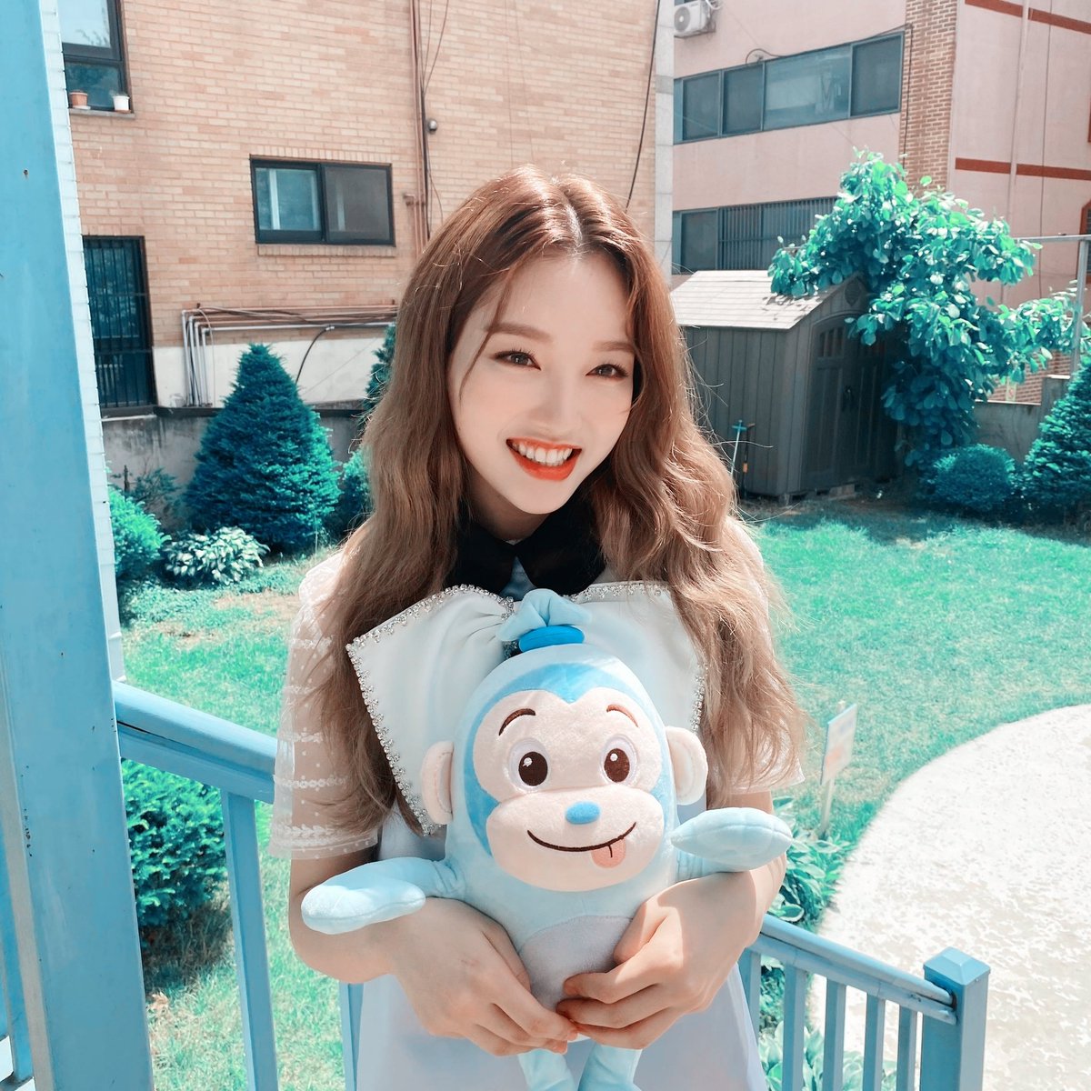 gowon ⏱ alice in wonderland ! au