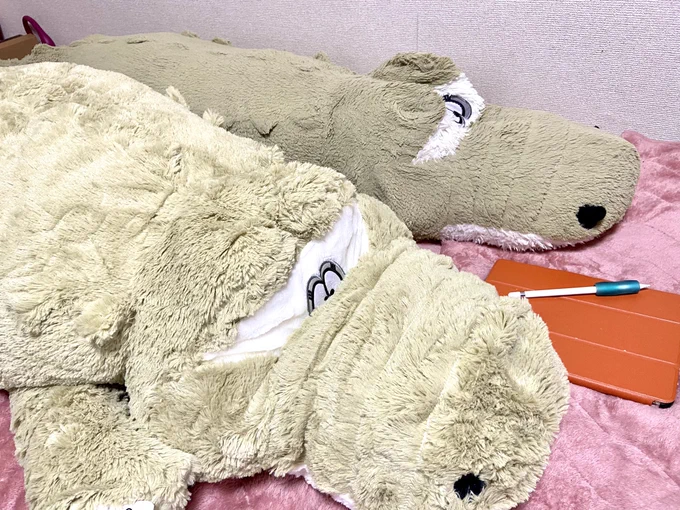 今日でぢ君から新しい仲間を貰いました  紹介させてください 