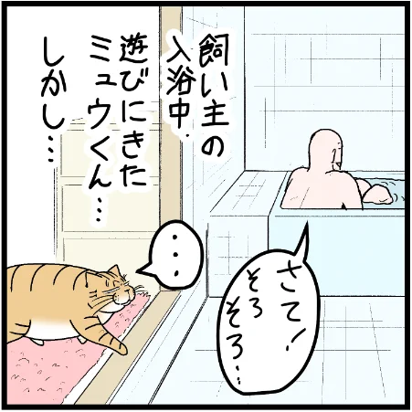 風呂場で見たスゴイ動きw #ニャンコ #まんが #猫 #猫あるある #猫漫画 #ペット #飼い主 #エッセイ漫画 #キャット #ねこのいる生活 #4コマ 