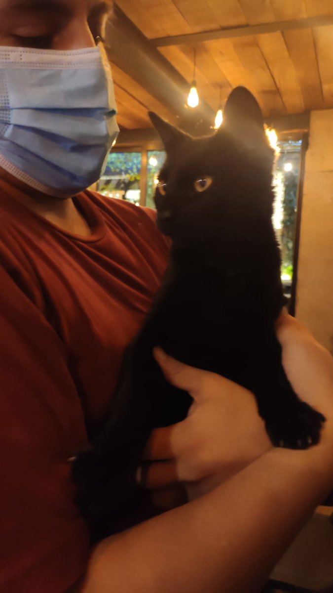 EzeJRodriguez's tweet image. Encontramos un Gato negro, de aprox 1 año, en zona carmelitas.
Super mimoso, bien cuidado, creemos que tiene casa. Rt para que llegue a sus dueños (o me lo llevo)
RT RT RT, mañana puede ser tu mascota 😪