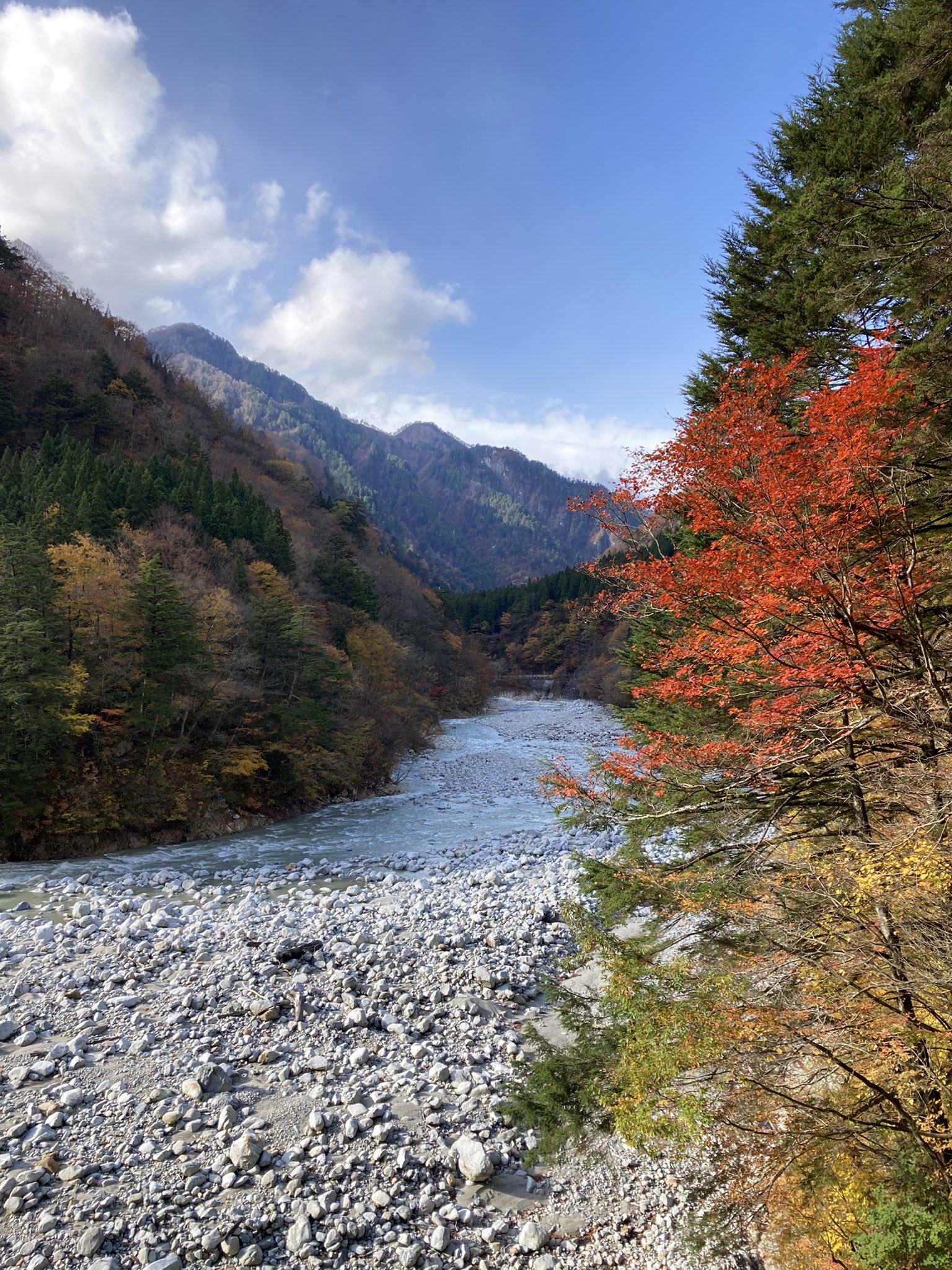 黒部峡谷鉄道 黒部峡谷の紅葉は まだまだ見頃です 赤だけでなくさまざまな色の紅葉がお楽しみいただけます 黒部峡谷 トロッコ電車 黒部峡谷鉄道 黒部峡谷 トロッコ電車 紅葉 紅葉スポット 秋 沿線風景 富山観光 T Co Kec8qmkfge Twitter