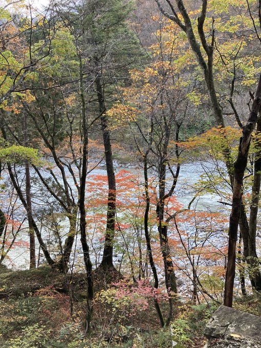 22年黒部峡谷トロッコ電車 紅葉 見頃 おすすめ紅葉スポット 旅兵衛ブログ