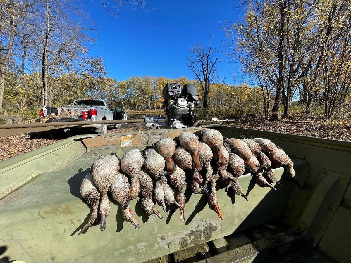 MinOutdoors's tweet photo. Has been a hell of a duck season so far this year here in Southeast Minnesota!
#ducks #waterfowl #Minnesota #outdoors #photography https://t.co/UXzUKYYPSS