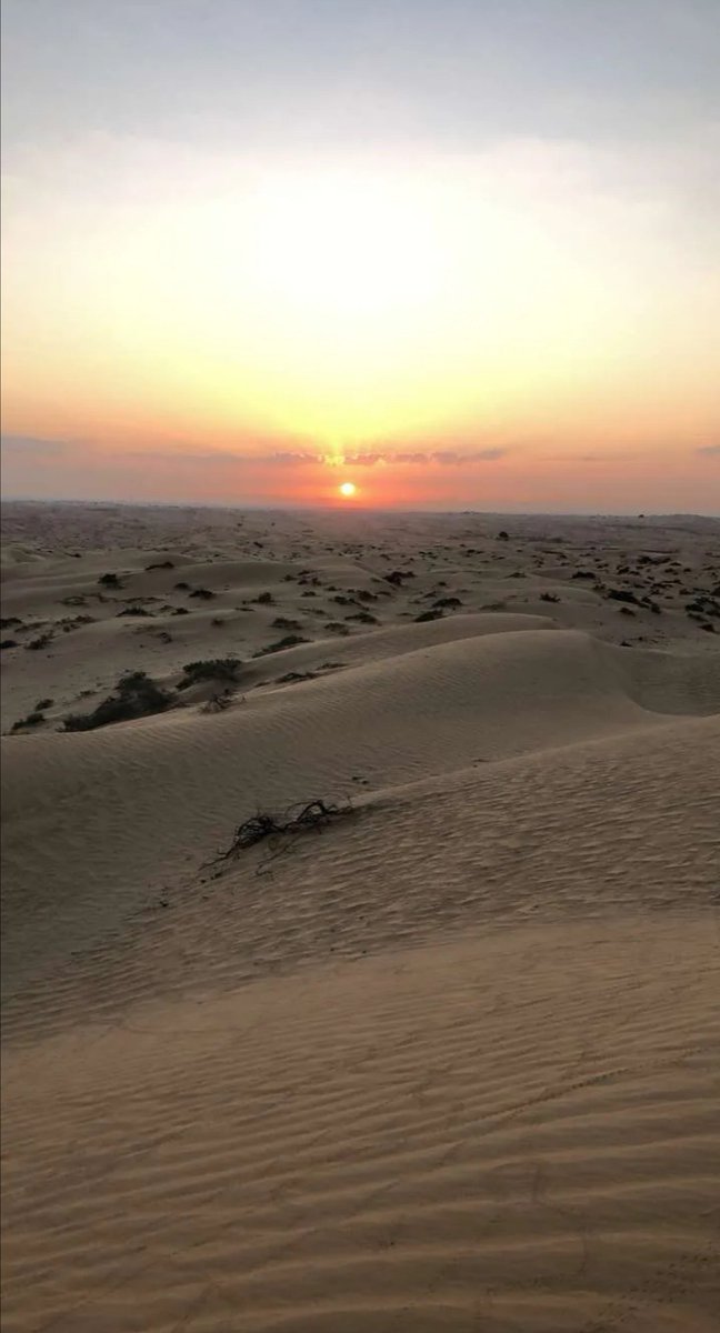 saeed__dubai's tweet photo. Good morning ☀️ https://t.co/kKBoKXDuuT