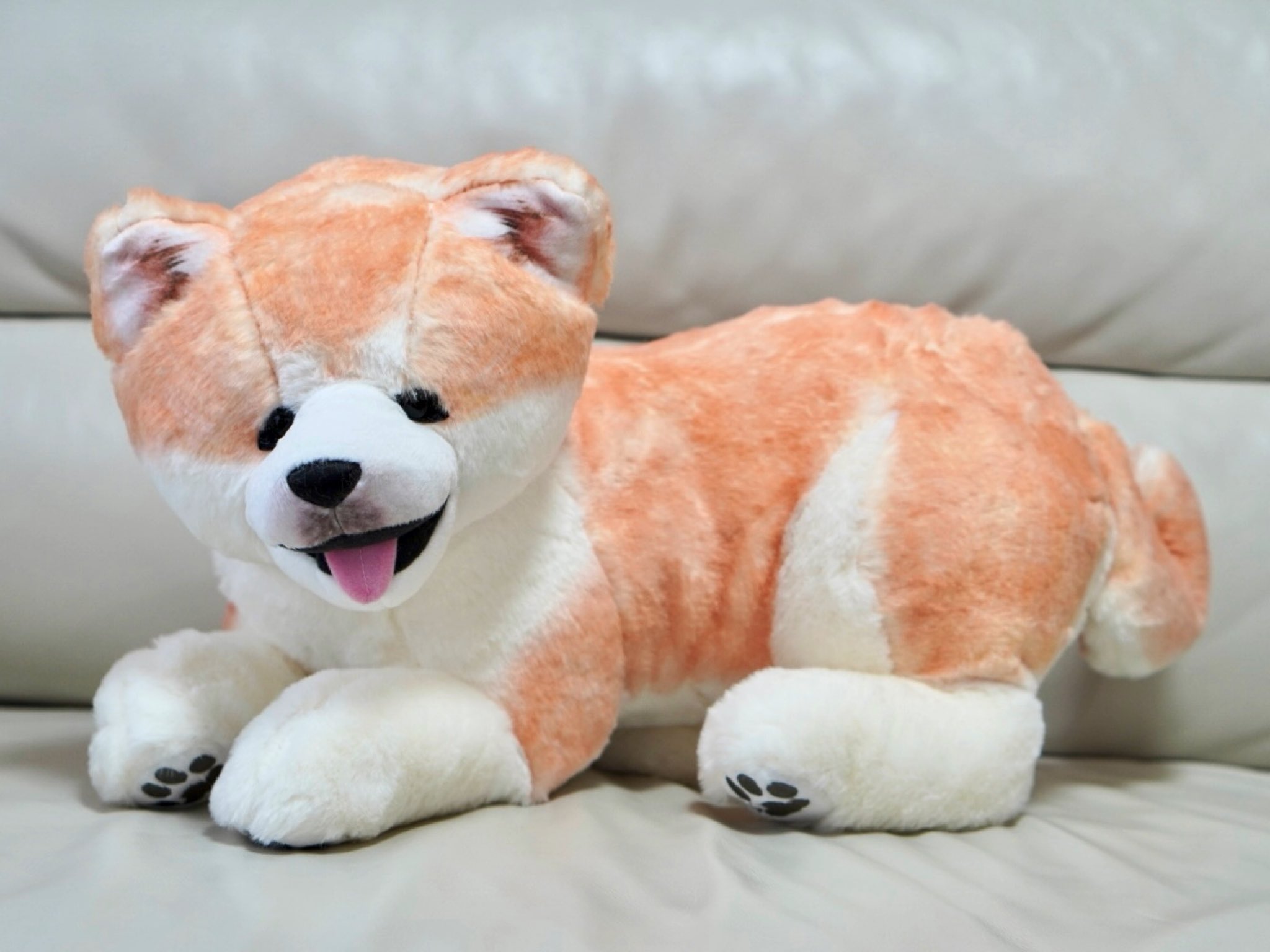 秋田の秋田犬ふく 我が家にもやっと届いた フェリシモ Felissimo 秋田犬ぬいぐるみ 秋田犬ふく Akitainu Akitainusakura 秋田犬 ふわもこ部 Inu Dogs Dog Instadog Akita 犬 Pet Japan 日本犬 Petstagram Japanesedog Akitaken