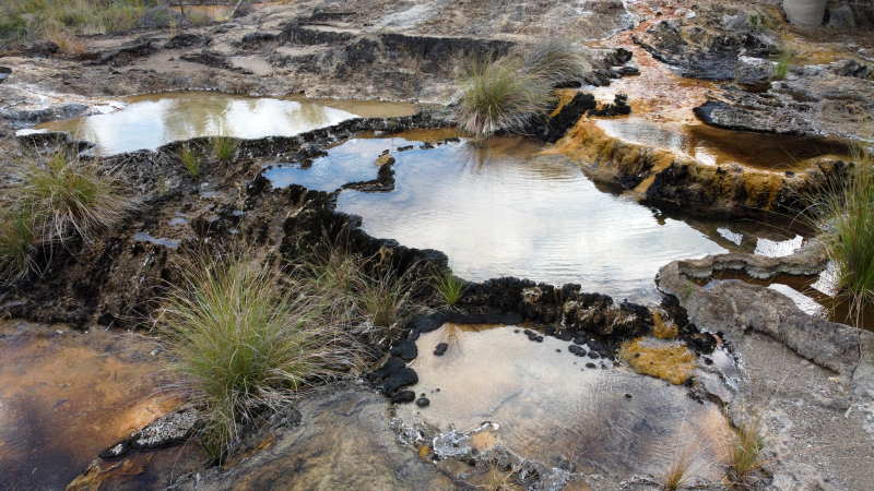 ChristianRinke's tweet photo. A big Thank You to the Ewamian people and everyone at #Talaroo Station for their hospitality, esp. Sharon, Hans, Tristan, and JR!
We had an amazing sampling trip and are excited to analyse the microbial hot spring communities! @aprabhu90 @paulxevans and @ChristianRinke https://t.co/DDMQilsihf