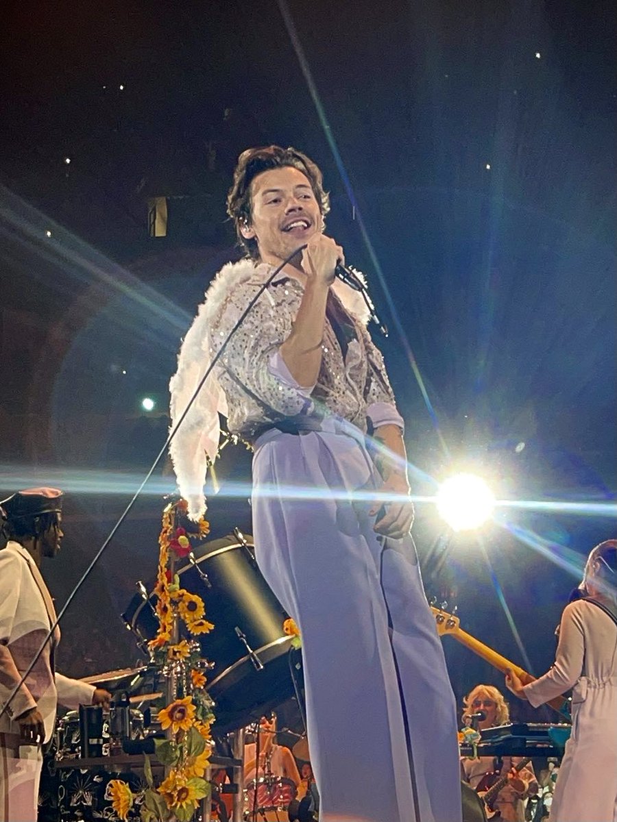 best of harry. (@theharrylibrary) on Twitter photo 