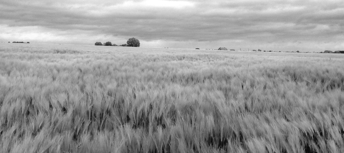 Tim Cooke tweet media