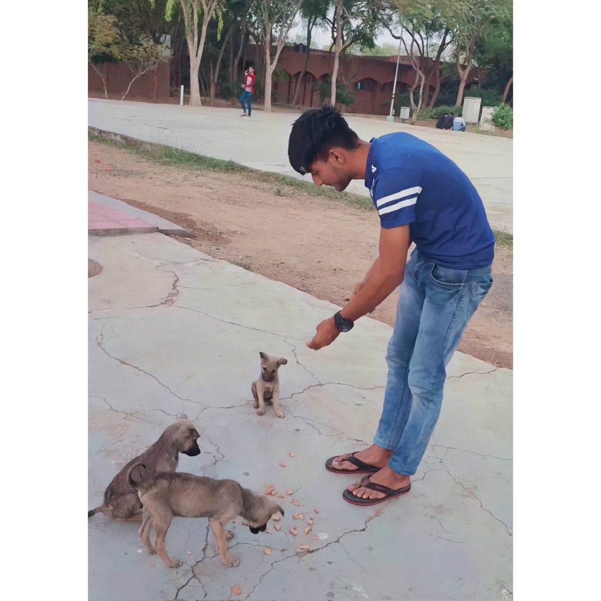 Shivasinghbhad4's tweet photo. #NewProfilePic #Sonusood @SonuSood If Animals Spoke, Humanity would Cry. https://t.co/vA4JPLn9zN
