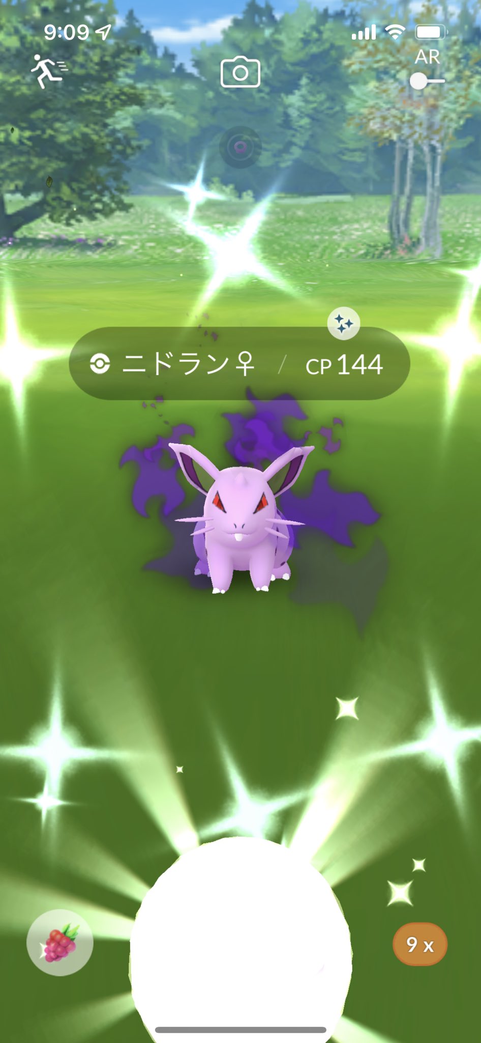 べっち おぉ 色盲なもんで 最初気付かなかった 笑 色違い中途半端にニドリーナとニドクインしか居なかったから初ゲット しかもシャドウ 嬉しい ポケモンgo Pokemongo 色違い ニドラン T Co Omhujgnkxw Twitter