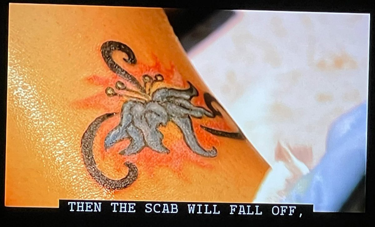 ✨ MicahTheBrave ✨ tweet media