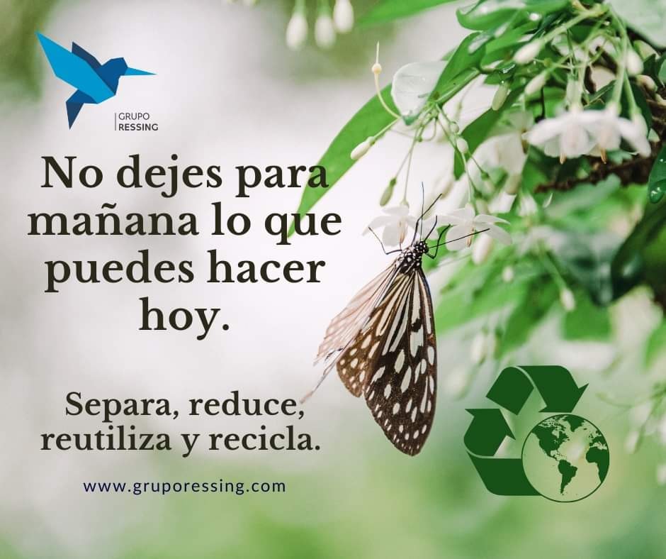 GrupoRessing's tweet photo. Es nuestro deber cuidar el #MedioAmbiente. ✅♻️🌎🌱🙌🏼

#GrupoRessing #Reduce #Reutiliza #Recicla #3R #ConsumoResponsable #CuidaElPlaneta #MundoLimpio #PiensaVerde #ecofriendly #eco #sustentable #Plástico #Botellas #PET #Reciclaje #Residuos #ecolife #reciclado #green https://t.co/48wKFKpTnX