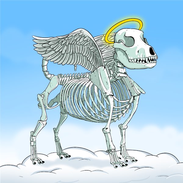 WickedBoneClub's tweet photo. #WickedBoneClub has now planted roots of skeletal artwork into the 2D &amp; 3D ETH communities, as well as the SOL ecosystem. 💀 Now it’s time to grow every area of this project and blossom into the future. Come join the family! https://t.co/7LkQCBw9lw https://t.co/PuqjYz9CRX