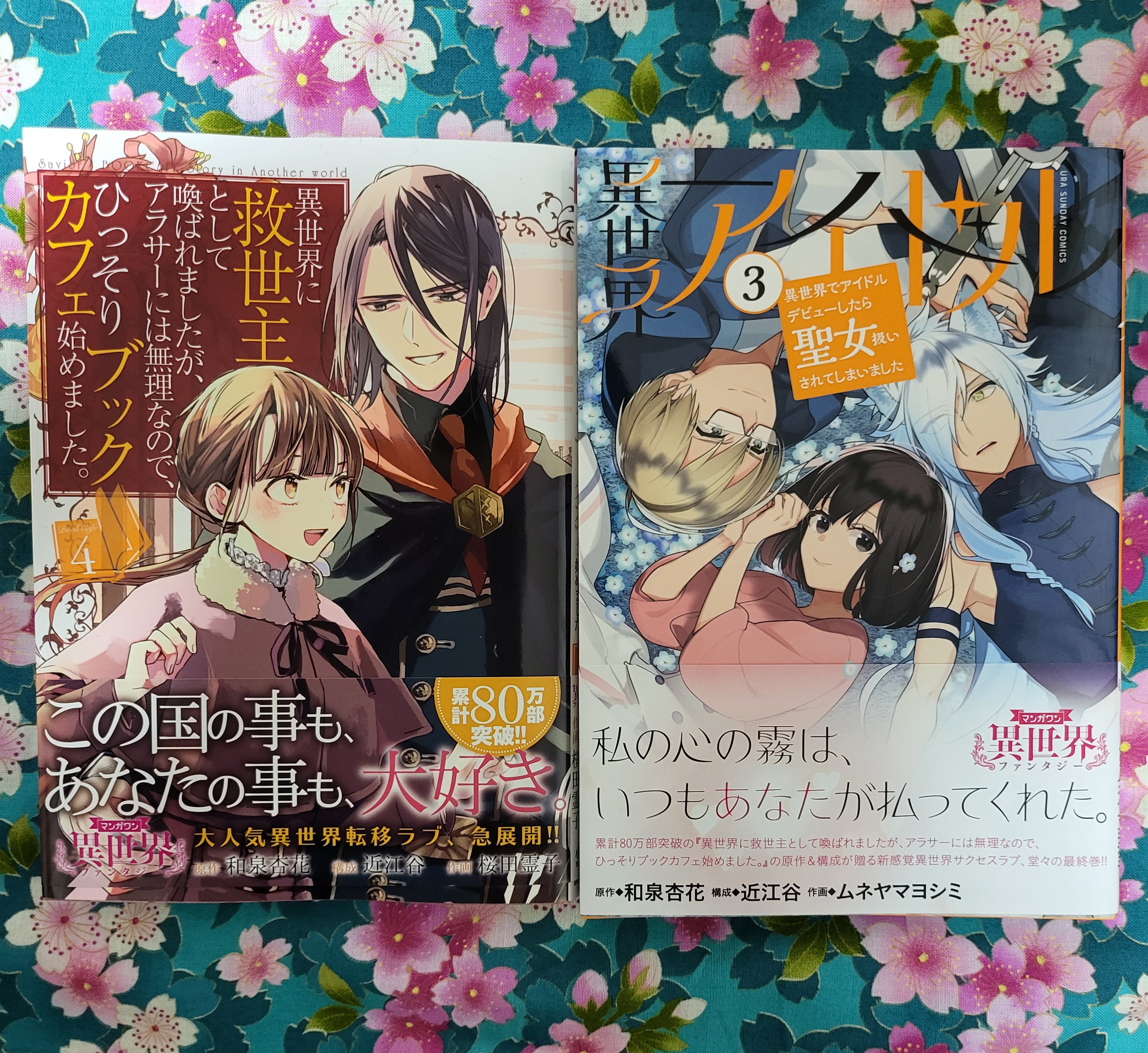 杏花 小説家になろう Pixiv Kyoka Izumi1 Twitter