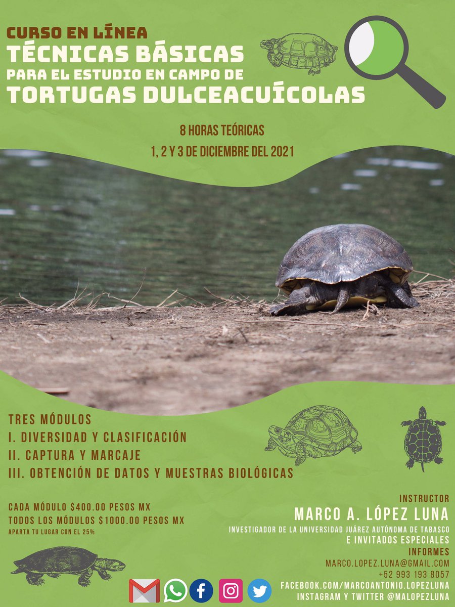 malopezluna's tweet photo. Curso en Línea
“Técnicas básicas para el estudio en campo de Tortugas Dulceacuícolas”
8 horas, 1, 2 y 3 de diciembre del 2021 https://t.co/qUq76YogKK