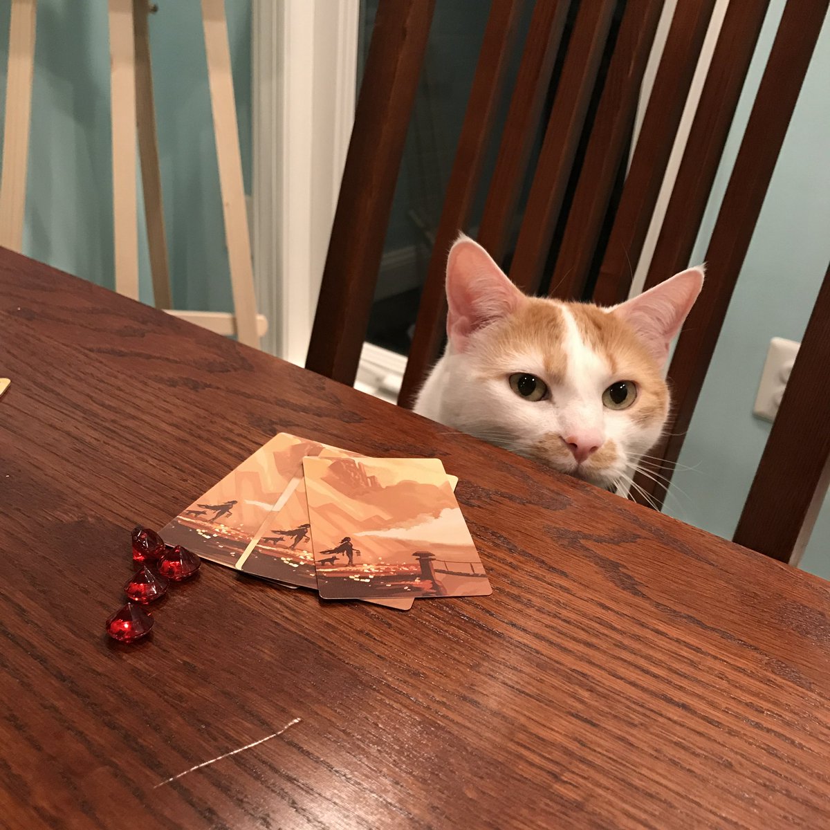 petra mayer tweet media