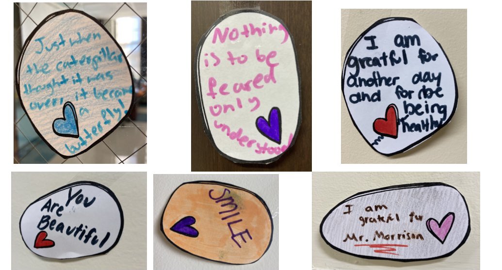 Amy Zambrano tweet media