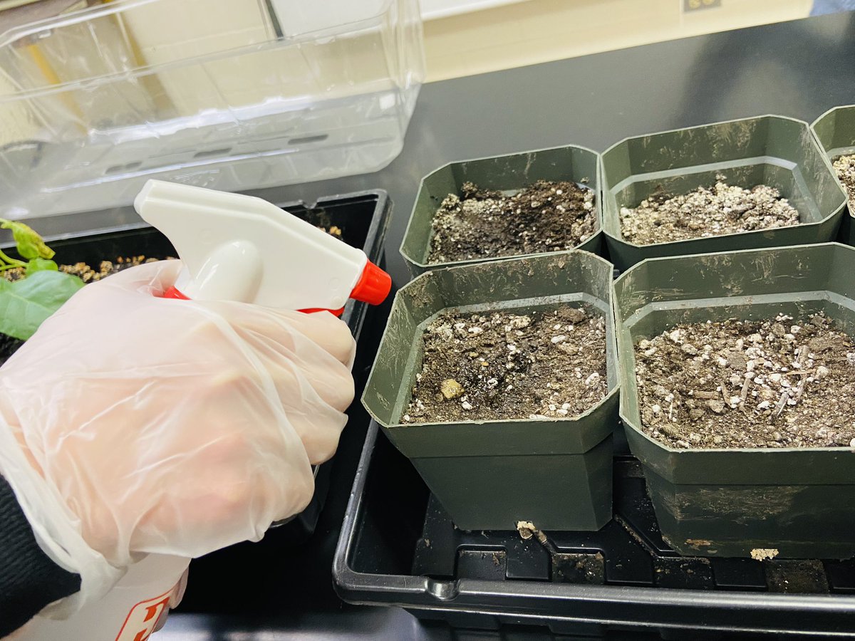 Fremd Science Club tweet media