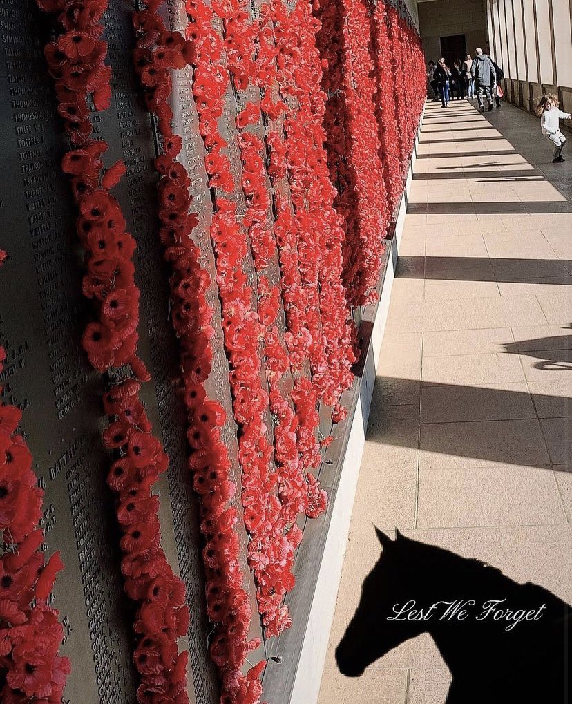 Lest We Forget #ourhistory #upperhunter #upperhuntercountrytourism  #RemembranceDay2021