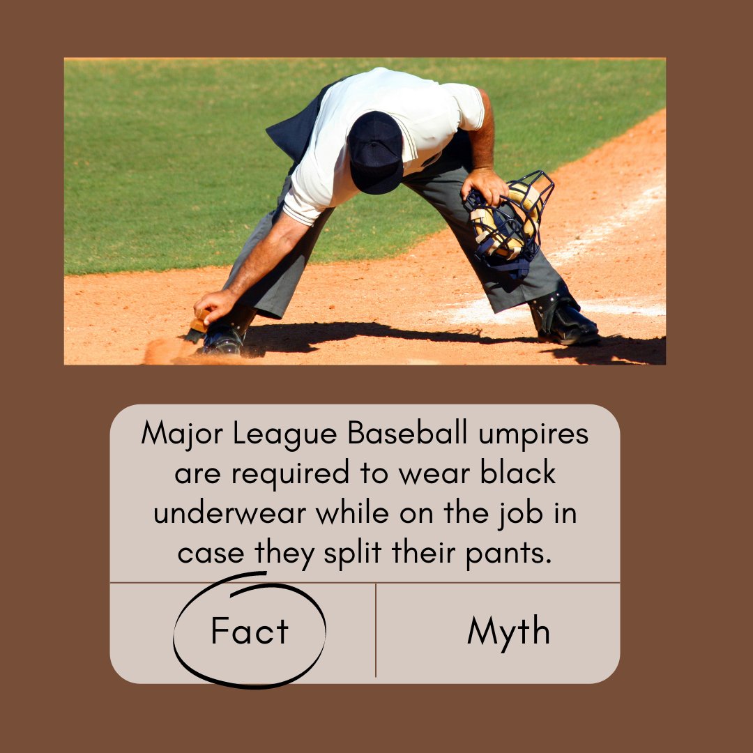 WCC Sports on X: According to the bleacher report, Major League Umpires do  in fact have to wear black underwear in case they split their pants. No  pair of pants can survive