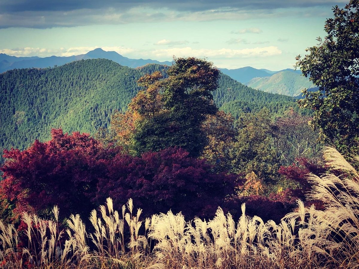 coreML's tweet image. Autumn Japan 2021

#autumnleaves