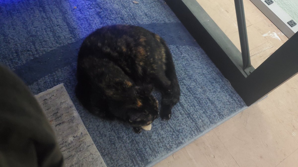 EvizzPlayz 😎 tweet media