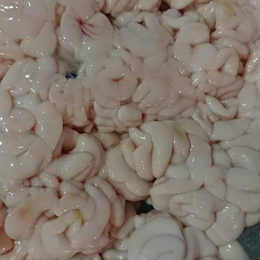 白子のアヒージョ Twitter Search Twitter