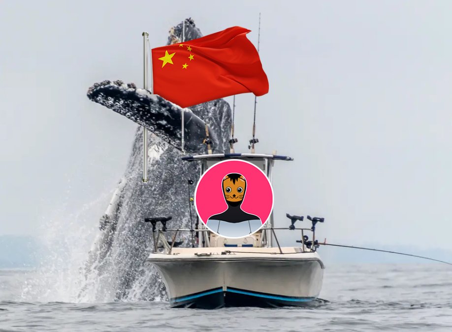 OptimusCat's tweet photo. We have spotted some whales across the ocean 🇨🇳 🐋

$OPCAT is going on a little fishing trip.....👀

#Catseason #猫 #模因 #Catgirl $Dinger $Cate 😼 https://t.co/dn6tThYyp7