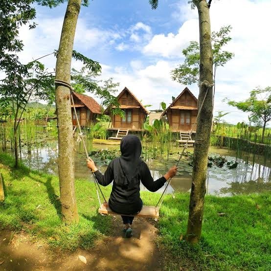 Desa Wisata Dolan Ndeso Boro menyuguhkan kehidupan desa yang menyenangkan sekaligus sebuah tema wisata back to nature.
Di Dolan Ndeso Boro kalian akan diajak untuk merasakan indahnya melestarikan lingkungan, budaya serta kearifan lokal🌹

#PuspitaNagari

Yuk simak utasnya👇🏻👇🏻