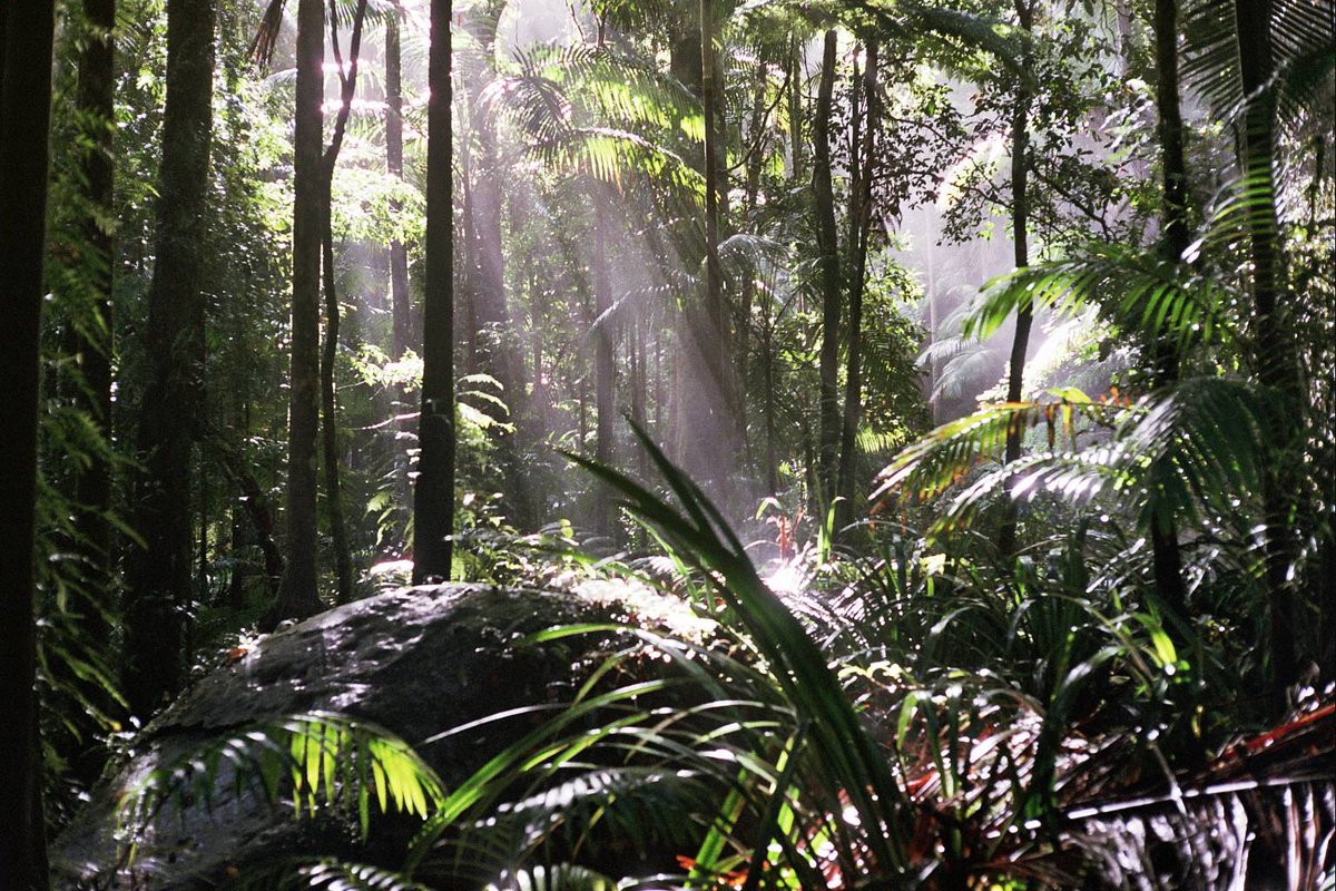 Letnan Hardi 🟦 tweet media