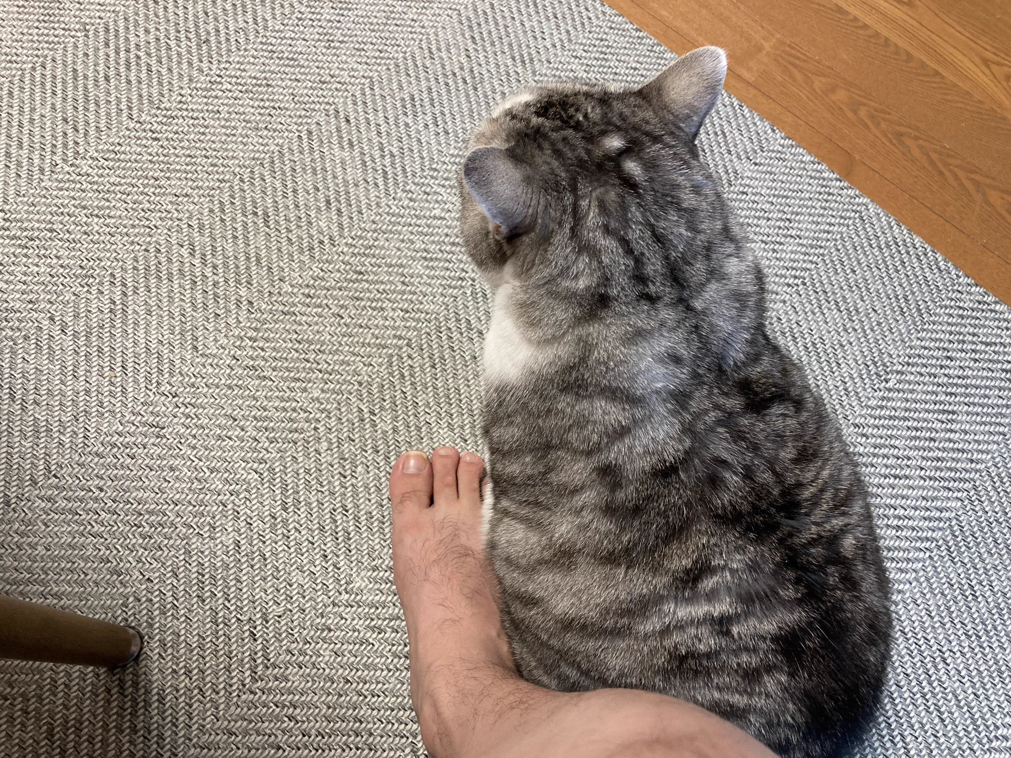 調べないと分からない！？白黒つけようとアレルギー検査を受けた結果…