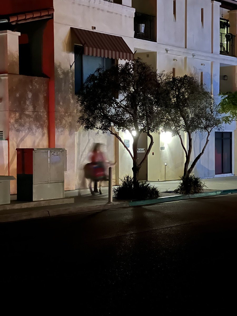 dannyfierro's tweet photo. A woman just rode down the street on a donkey and gave an entirely new meaning to #pandemic pet. Some people get puppies, others get burros. #SanDiego #Kensington #impulsepurchase https://t.co/DIu3E9q4gE