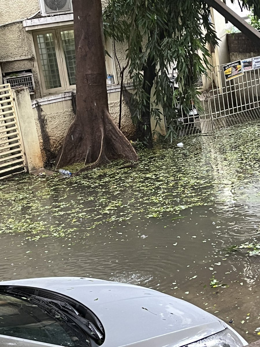 Devaprasad1978's tweet photo. @Dr_Ezhilan  @chennaicorp @GSBediIAS @mkstalin @CMOTamilnadu 

Sir water logging in Ganga nagar kodambakkam Storm water drains are blocked water have come inside our houses pls do the needful !! https://t.co/YZTz3eKdr1