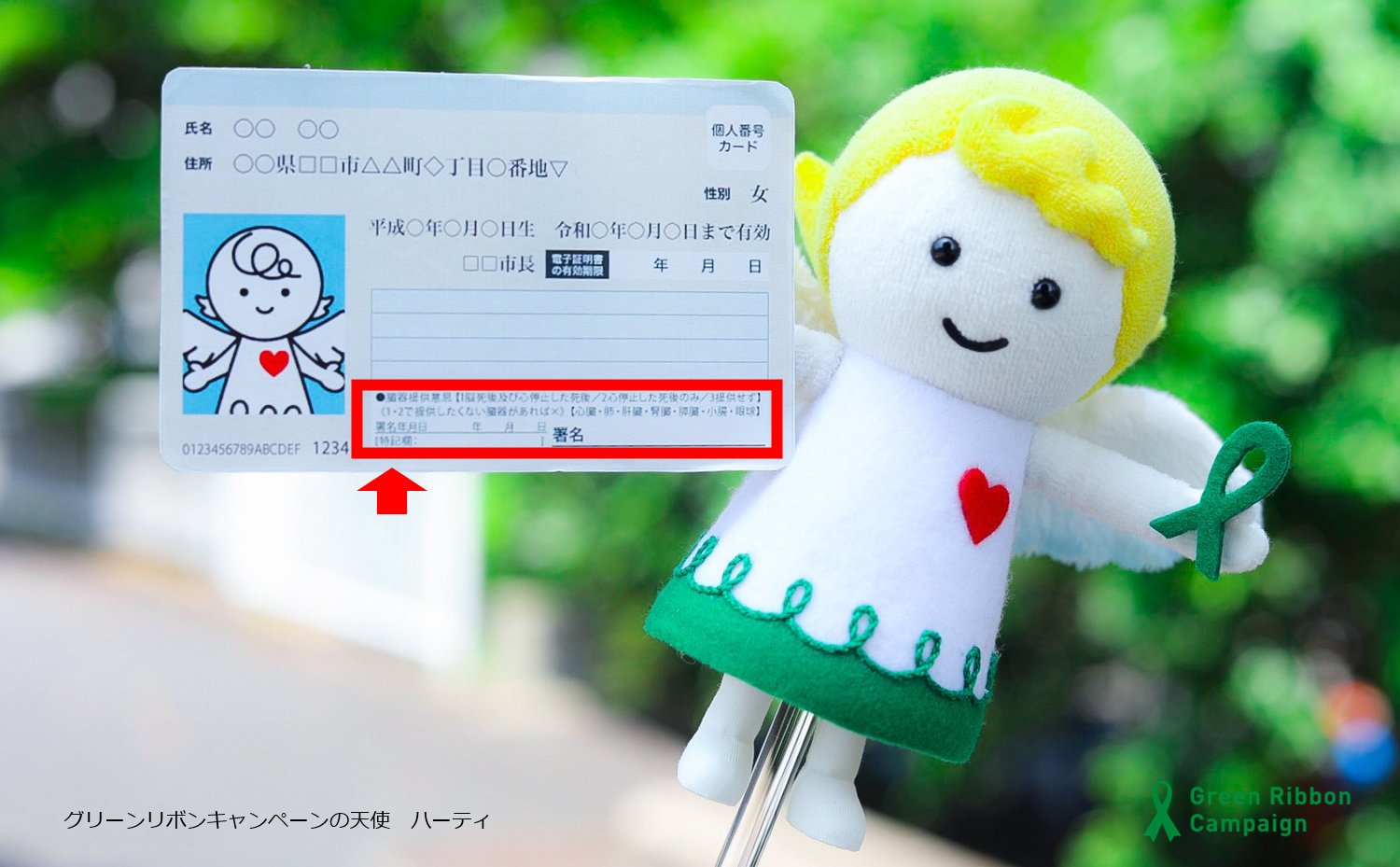 厚生労働省 マイナンバーカードで意思表示を 健康保険証にも活用できるようになった マイナンバーカード に臓器提供の意思表示欄があるのをご存知ですか お持ちの方は オモテ面右下にある意思表示欄に 意思表示のご協力をお願いします 臓器