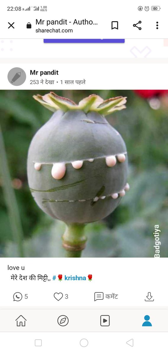 BadgotiyaDl's tweet photo. #Modi_Where_Is_MSP https://t.co/6ZI7dCfIm1