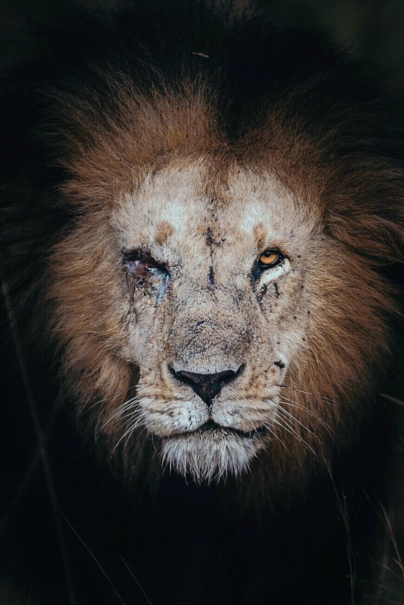 Mo7_Warda's tweet photo. @majedphotos https://t.co/7dts2Nkq9x
