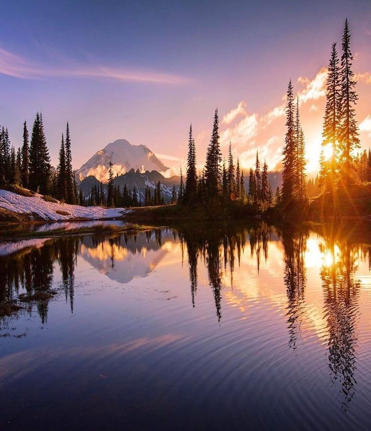 Sienna_2g's tweet photo. GOOD MORNING 
#NATUREPHOTOGRAPHY 
#NATURE https://t.co/lRZFN5UfEf